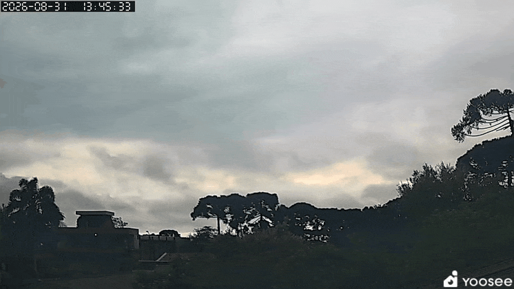 GIF_20260831_144258_476.gif.c71b1c458db9a2865b2a6f726b913f1f.gif