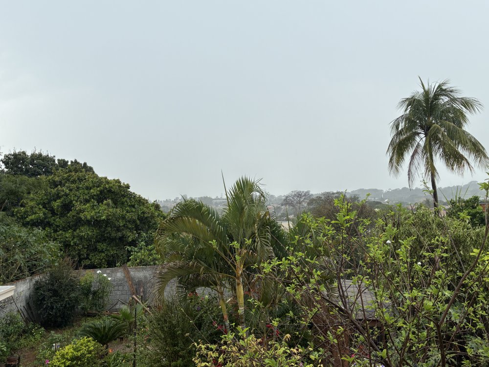 IMG_5190.thumb.jpeg.d5d2ab368998432e5a1fa61871fc2108.jpeg