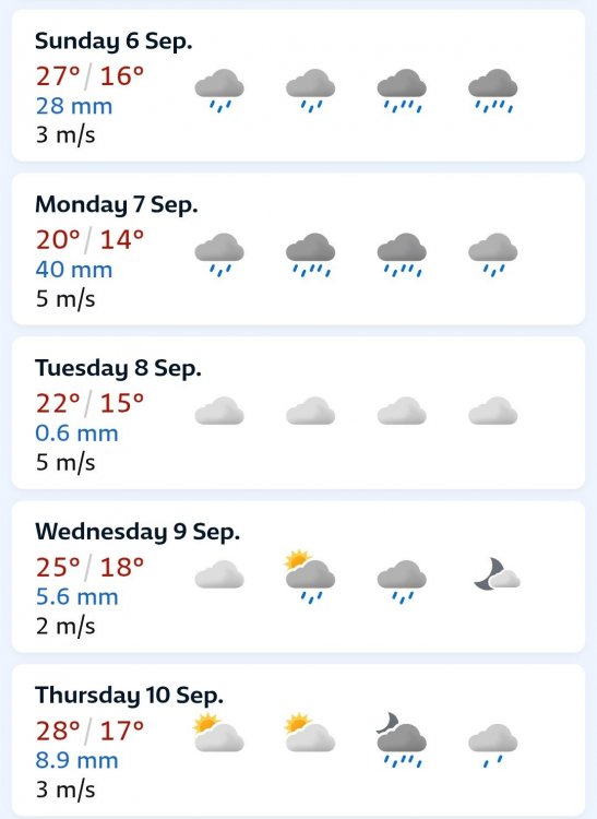 Screenshot_2026-09-05-19-07-32-634_com.android.chrome.thumb.jpg.3395e30dbdfcfdcc6c28c5af20f7fd8b.jpg