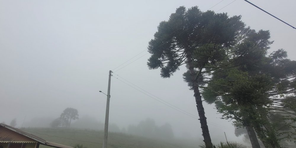 20261001_071602.jpg