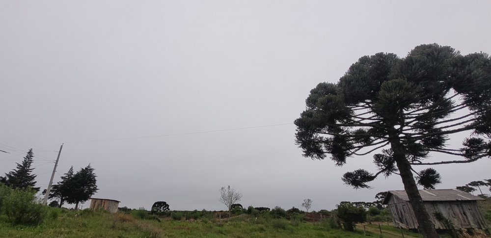 20261003_055820.jpg