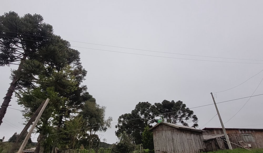 20261003_060035.jpg