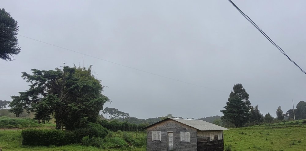 20261004_084739.jpg