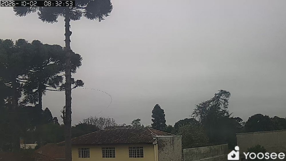 6135127485_2026_10_02_08_32_55_00.thumb.jpg.a063d3a13fd64299309d46cfe464f4c7.jpg