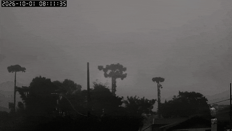 GIF_20261001_191034_132.gif.79f23e386f9a7c77e8d6f2407358df1c.gif